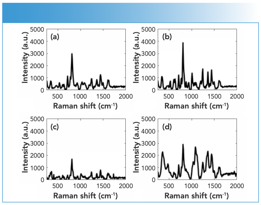 FIGURE 5: Raman spectra of MDMA DPs in the following colors or forms: (a) gray crystal, (b) white crystal, (c) orange powder, and (d) pink tablet measured using an FT-Raman spectrometer equipped with 1064-nm laser excitation wavelength.