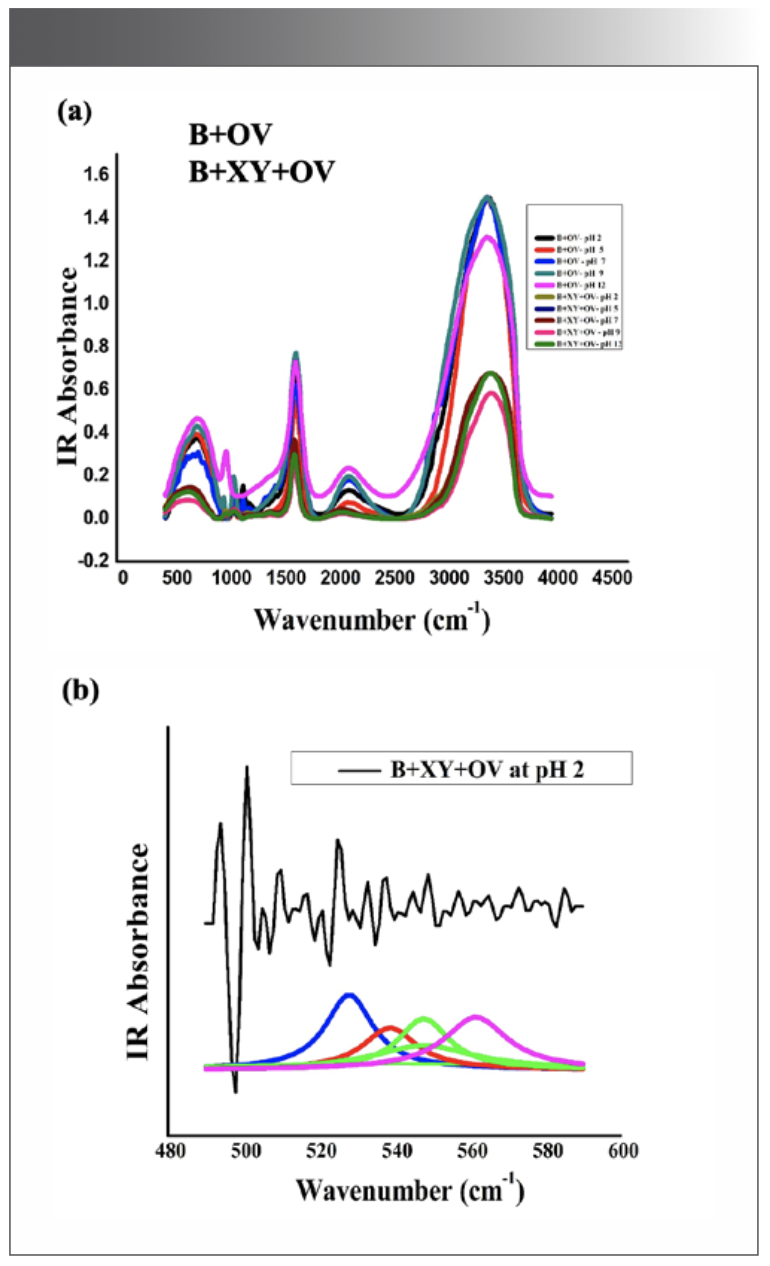 FT-IR Analysis of pH and Xylitol Driven Conformational Changes of