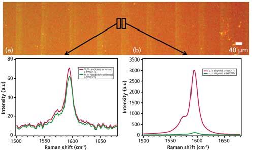 Polarized Raman Spectroscopy Of Aligned Semiconducting Single Walled Carbon Nanotubes