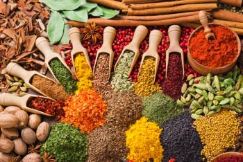 composition with different spices and herbs | Image Credit: © andriigorulko - stock.adobe.com.