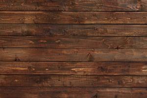 Rapid Identification of Wood Species Based on Portable Near-Infrared Spectrometry and Chemometrics Methods