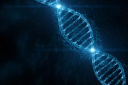 Optimizing SERS DNA Sensors: Impact of Sandwich-Type Construction and Plasmonic Metal Revealed