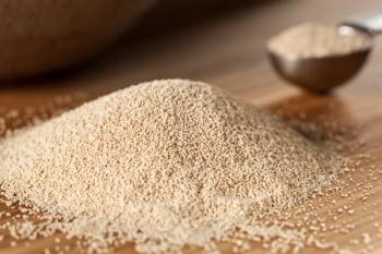 Organic Raw Yeast for baking bread | Image Credit: © Brent Hofacker - stock.adobe.com.