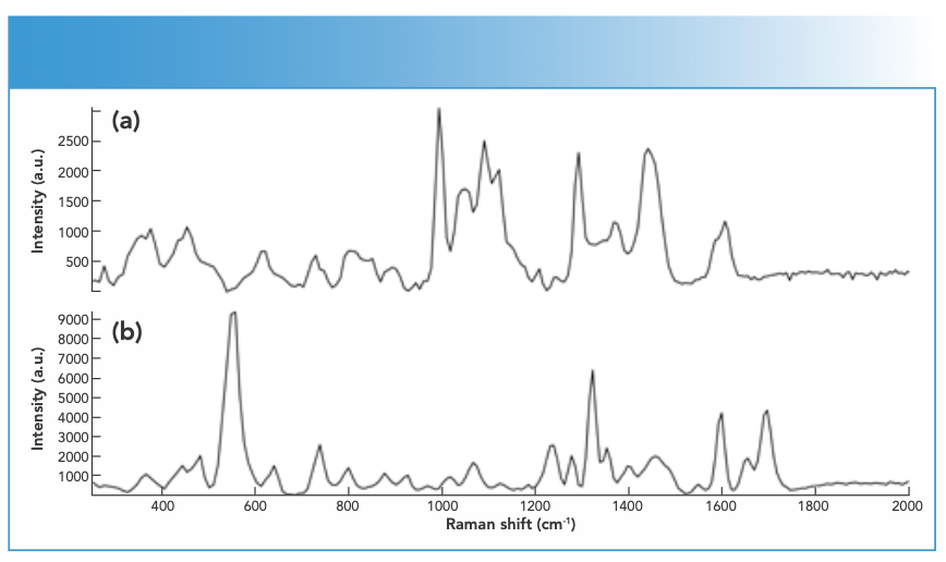 FIGURE 1: Raman spectra of (a) TFMPP and (b) BZP DPs measured using an FT-Raman spectrometer equipped with 1064-nm laser excitation wavelength. FIGURE 1: Raman spectra of (a) TFMPP and (b) BZP DPs measured using an FT-Raman spectrometer equipped with 1064-nm laser excitation wavelength.