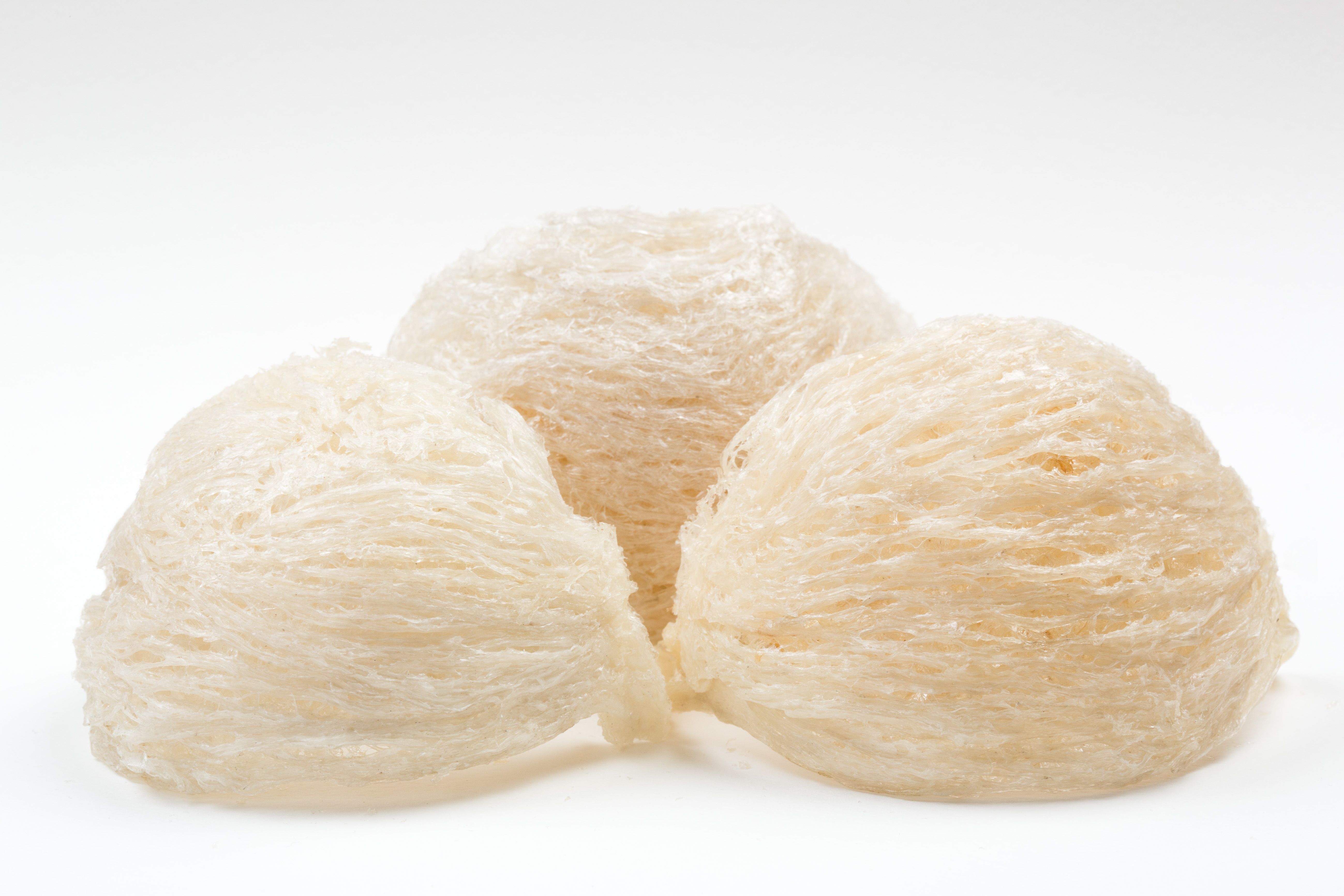 Fresh edible bird's nest on white paper | Image Credit: © Lodimup - stock.adobe.com