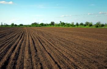 Preparing field for planting. Plowed soil in spring time with two tubes and blue sky. | Image Credit: © es0lex - stock.adobe.com