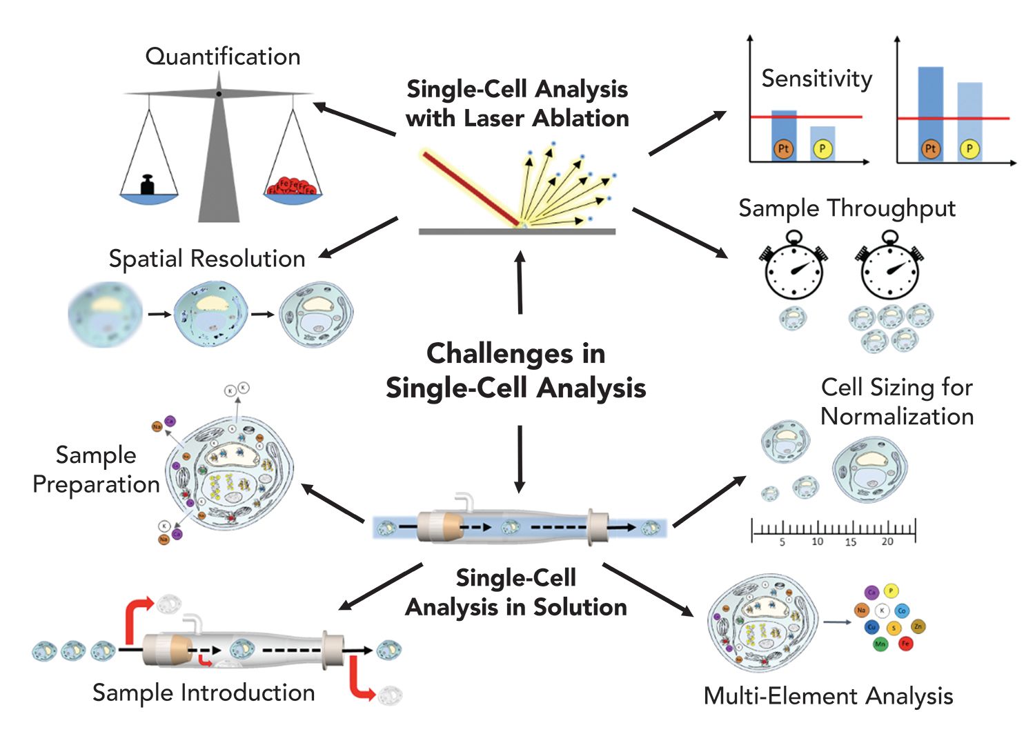 Tunable Single-Cell Extraction for Molecular Analyses: Cell