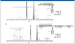 Investigation of Transferrin Structure via Novel Electron Capture Dissociation Techniques Using a Hybrid Linear Ion Trap Time-of-Flight Mass Spectrometer