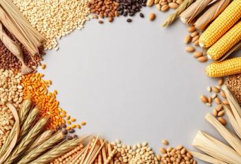 A rustic frame of diverse grains, cereals, and ears of corn on a neutral gray background. Generated by AI. | Image Credit: © chanwut - stock.adobe.com