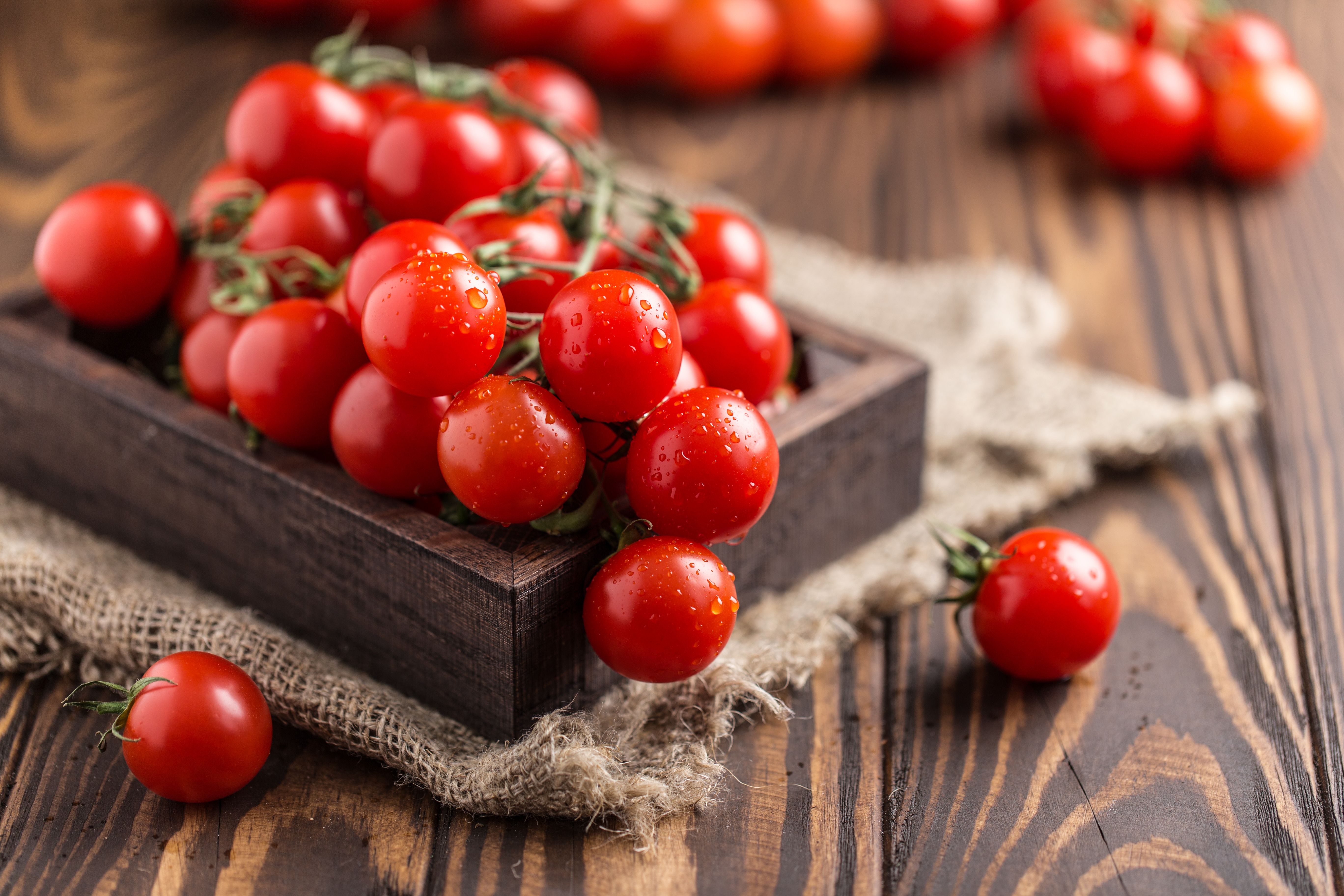 Small red cherry tomatoes on rustic background. Cherry tomatoes on the vine | Image Credit: © Agnes - stock.adobe.com