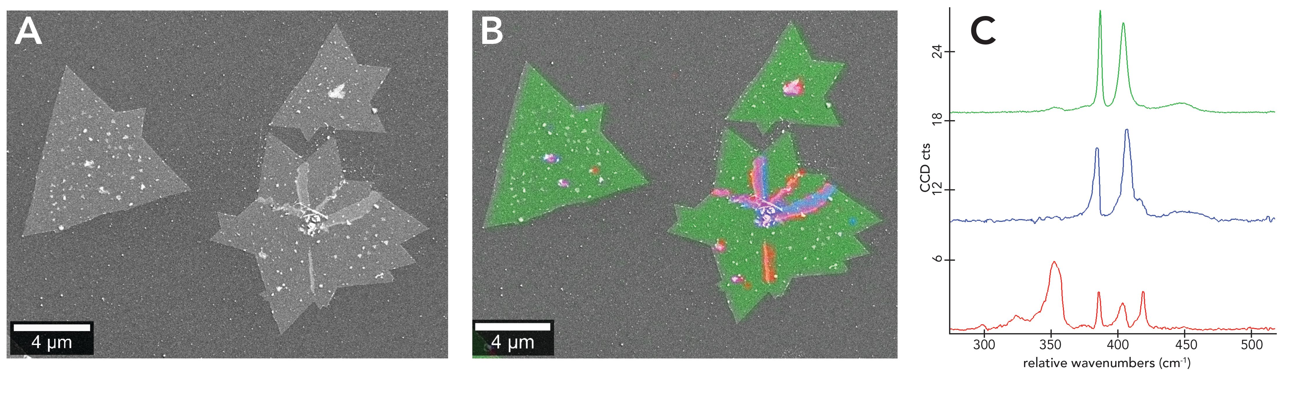 Tmd Raman Rotation TMD Layer Characterization with Raman and RISE Microscopy