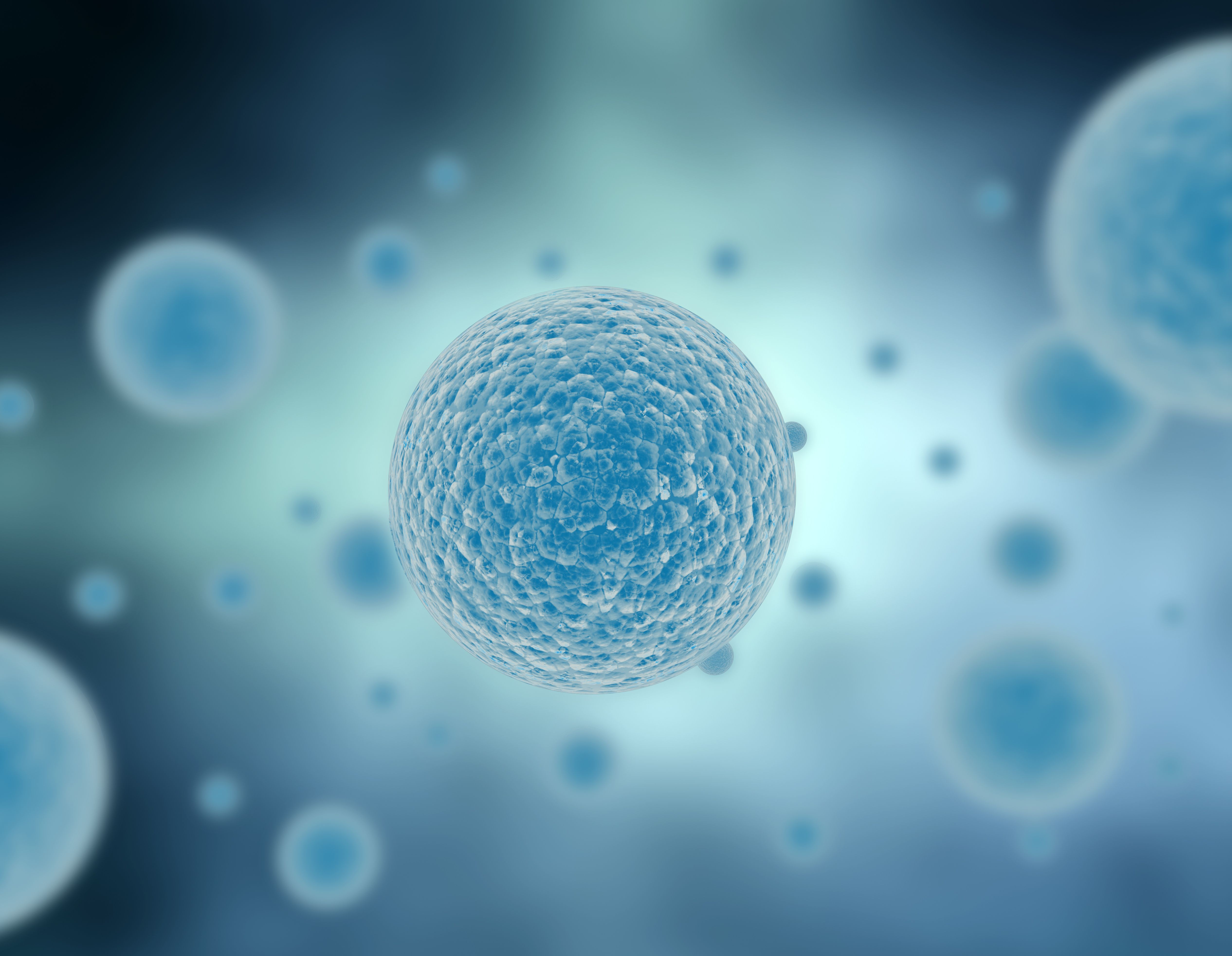 Illustration of cells in blue | Image Credit: © Jezper - © Jezper - stock.adobe.com