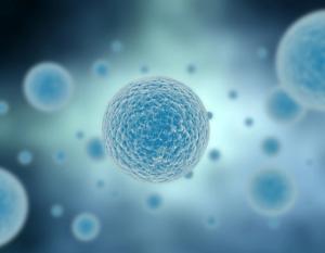 Illustration of cells in blue | Image Credit: © Jezper - © Jezper - stock.adobe.com