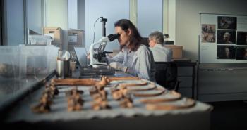 Female scientist analyzes sample of fossil remains under microscope. Bones of prehistoric human skeleton lying on table. Microbiologists or archaeologists work in advanced archaeological laboratory. | Image Credit: © Framestock - stock.adobe.com.