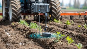 Field-Ready Raman SERDS Maps Soil Health for Smarter Farming © songpol152-chronicles-stock.adobe.com