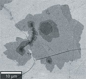 Rise邃 Raman Imaging And Scanning Electron Microscopy Investigation Of Rise邃 Raman Imaging And Scanning Electron Microscopy Investigation Of