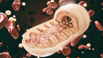 mitochondria cell in close-up - 3D Rendering | Image Credit: © crevis - stock.adobe.com