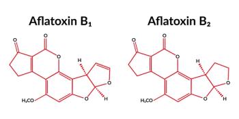Aquaphotomic NIR spectroscopy for detecting toxic aflatoxin in maize © By foxyliam -chronicles-stock.adobe.com