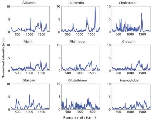 Mahadevan-Jansen-fig05-web.jpg