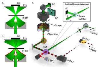 Figure 1 Cheng copy.jpg