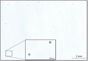 Figure 4_new_web.jpg