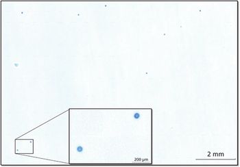 Figure 4_new_web.jpg