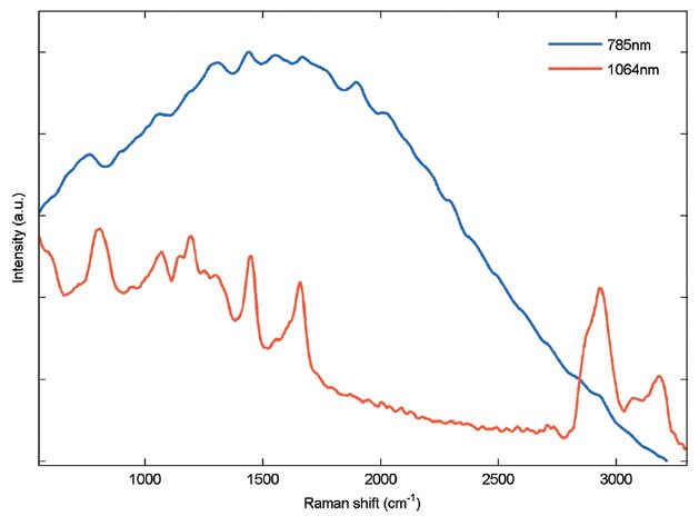 Tissue Raman Measurement at 1064 nm