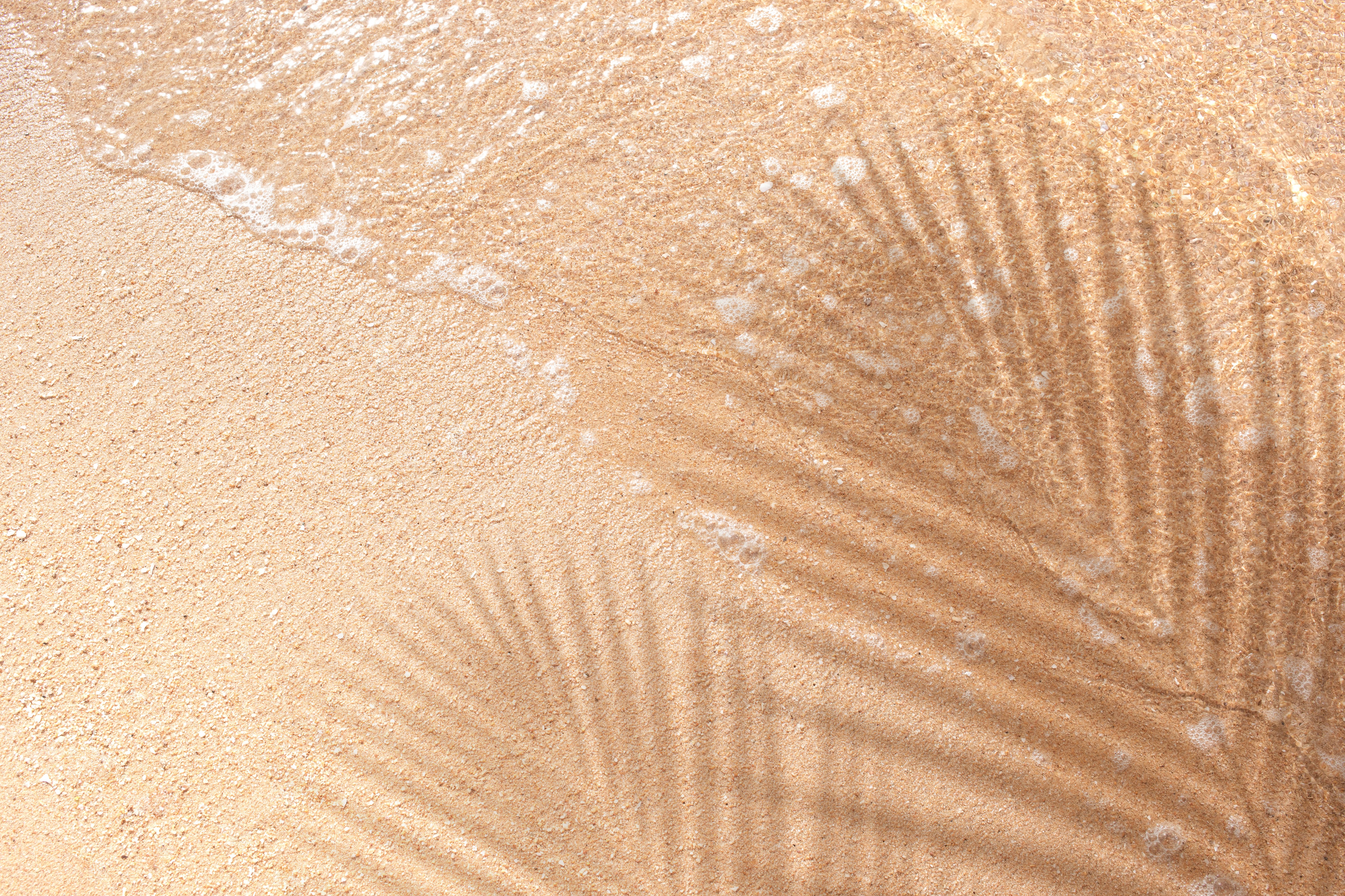 Sand was one of the substrates that the researchers tested in their study. | Image Credit: © hakinmhan - stock.adobe.com