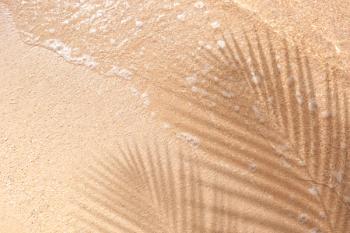 Sand was one of the substrates that the researchers tested in their study. | Image Credit: © hakinmhan - stock.adobe.com