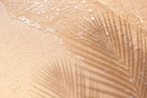 Sand was one of the substrates that the researchers tested in their study. | Image Credit: © hakinmhan - stock.adobe.com