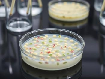 Petri Dish of Agar Media Showing Bacteria Cultures Used for Microbial Research in a Lab. Generated by AI. | Image Credit: © Sanook - stock.adobe.com