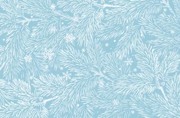 Winter holidays background with pine branches and snowflakes. Winter card design. | Image Credit: © elinka_art - stock.adobe.com