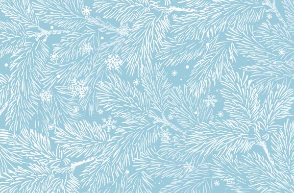 Winter holidays background with pine branches and snowflakes. Winter card design. | Image Credit: © elinka_art - stock.adobe.com