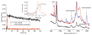 Spectroscopy4_i1.gif