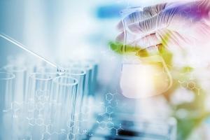 Key Steps to Follow in a FRET Experiment