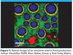 A Confocal Raman Imaging Study on Emulsions