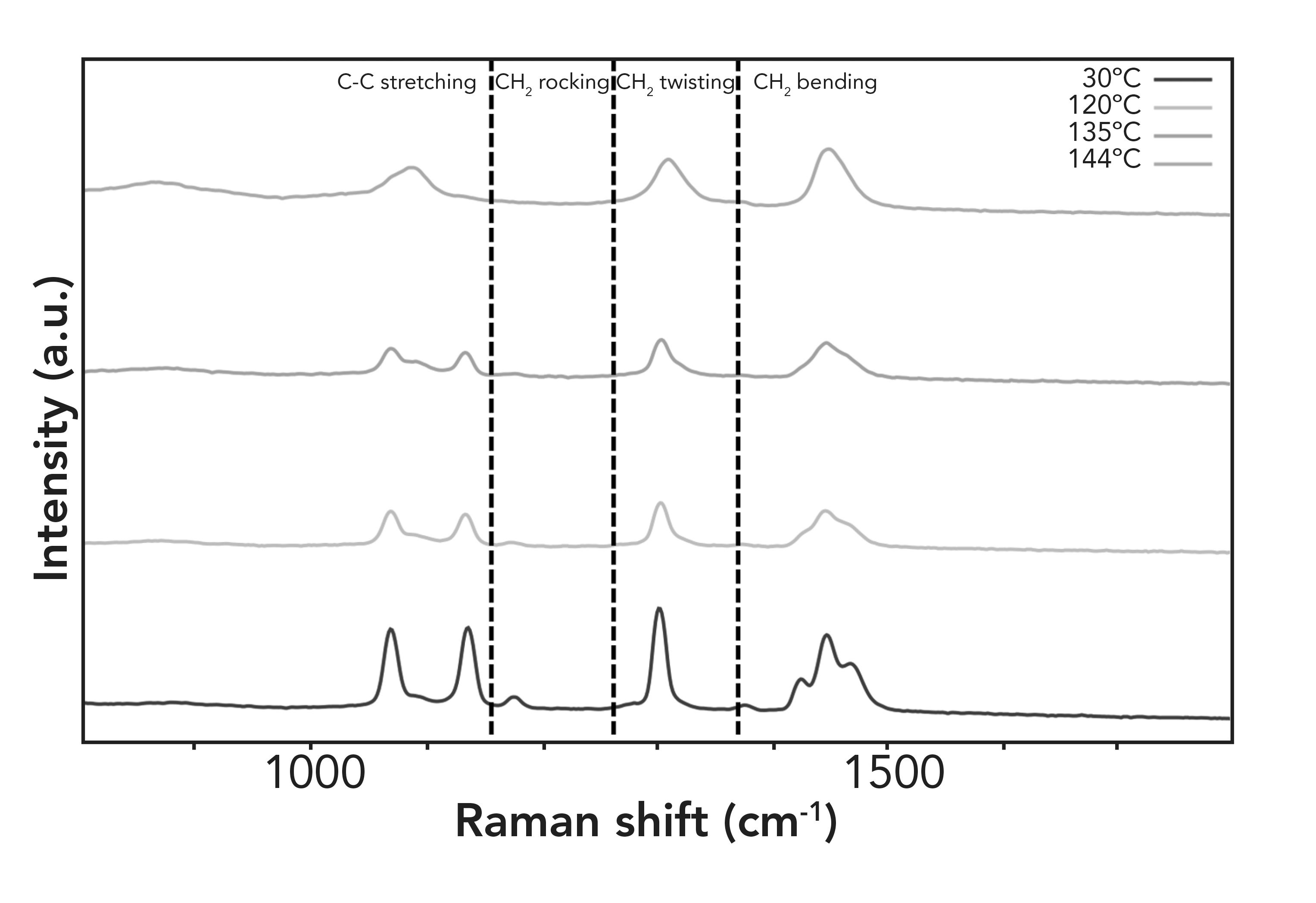 Raman Spectroscopy as a Tool for Studying Polymer Phase Transitions