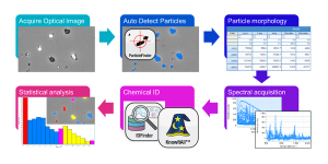 Particle Correlated Raman Spectroscopy (PCRS): A Workflow for Correlating Particle Morphology with Chemical Identification