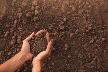 Male farmer with heap of soil in field, top view | Image Credit: © Pixel-Shot - stock.adobe.com