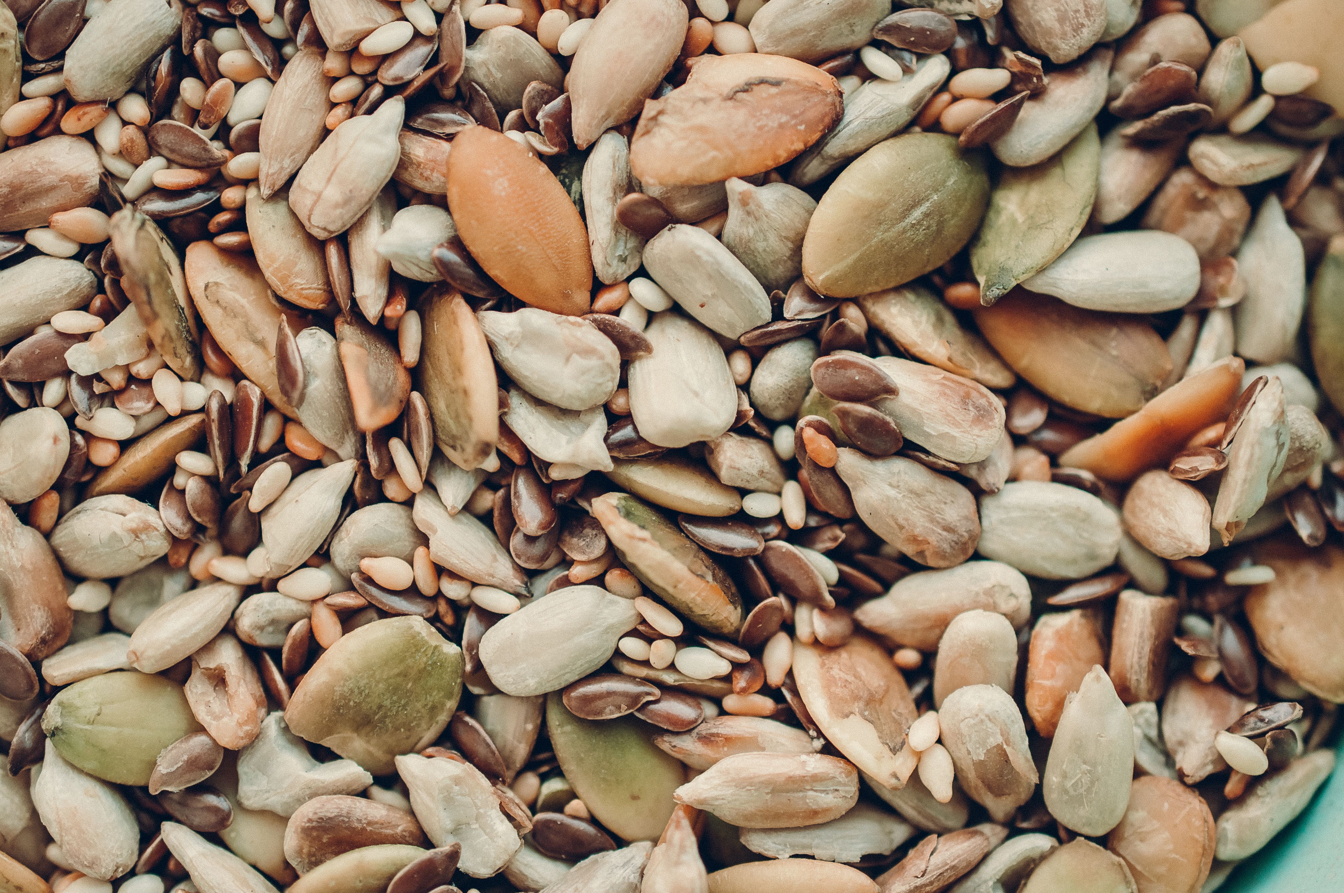 Background of various seeds and nuts | Image Credit: © foras05 - stock.adobe.com.