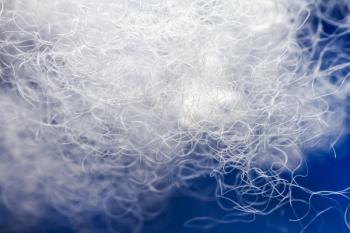 Extreme macro of polyester stable fiber on blue background | Image Credit: © Taigi - stock.adobe.com