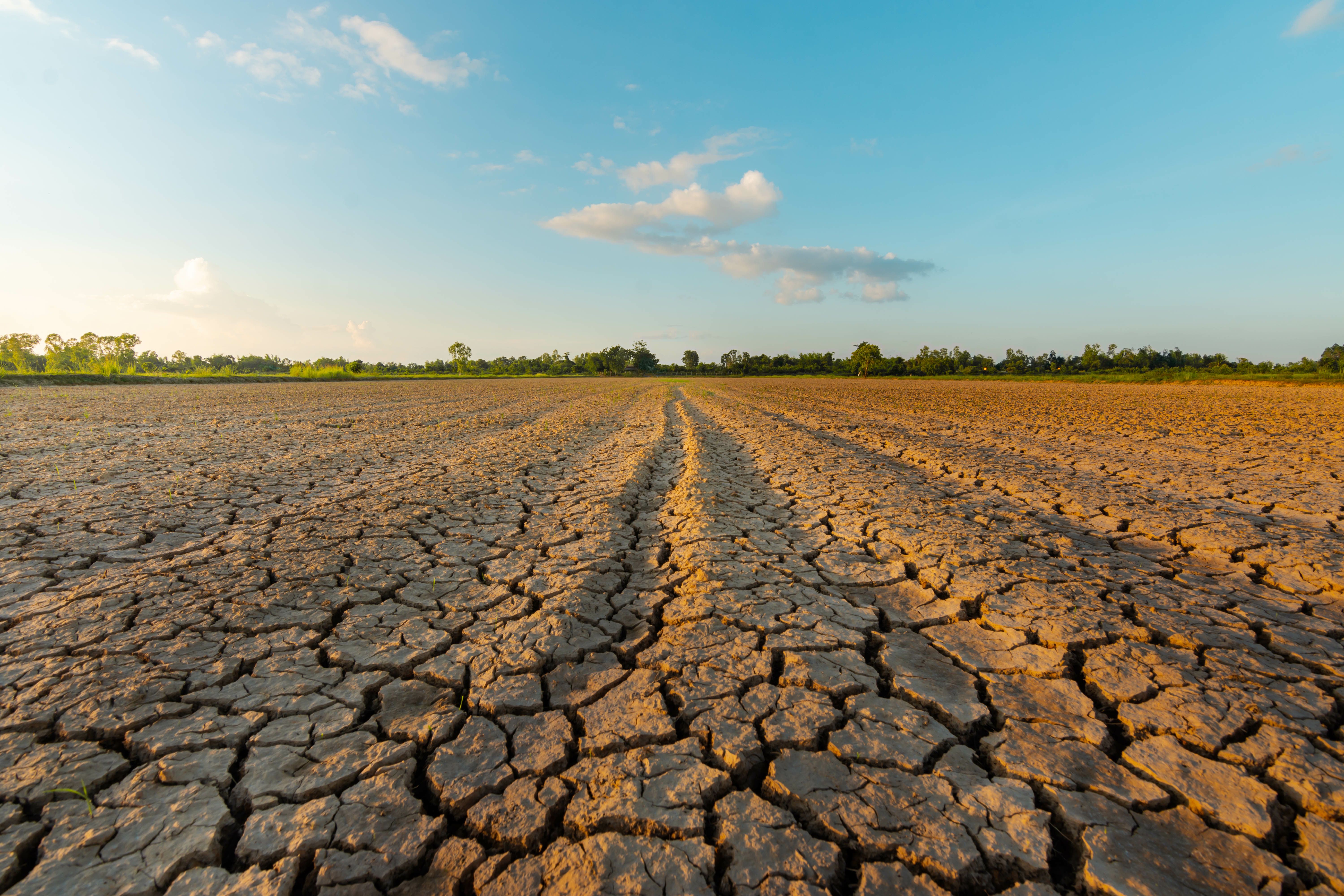 The land is dry and parched because of global warming. | Image Credit: © neenawat555 - stock.adobe.com.