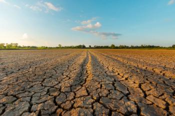 The land is dry and parched because of global warming. | Image Credit: © neenawat555 - stock.adobe.com.