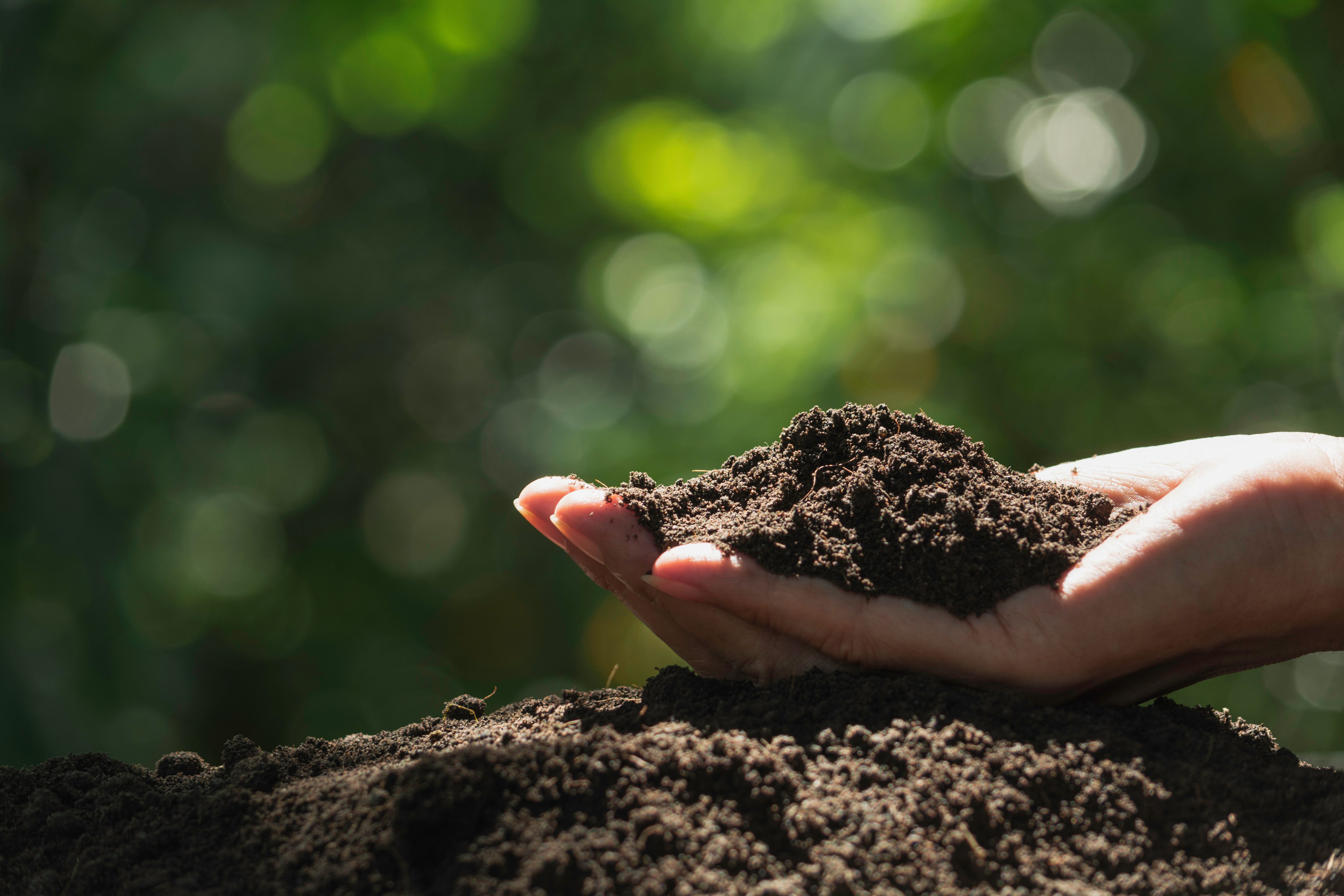 Radar and Soil Spectroscopy Boost Soil Carbon Predictions in Brazil’s Semi-Arid Regions