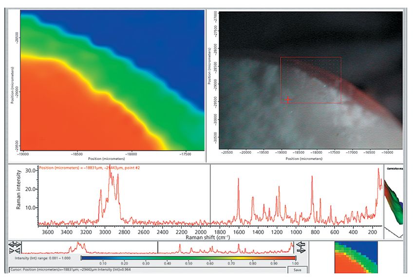 Integrating FT-IR and FT-Raman for the Pharmaceutical Industry