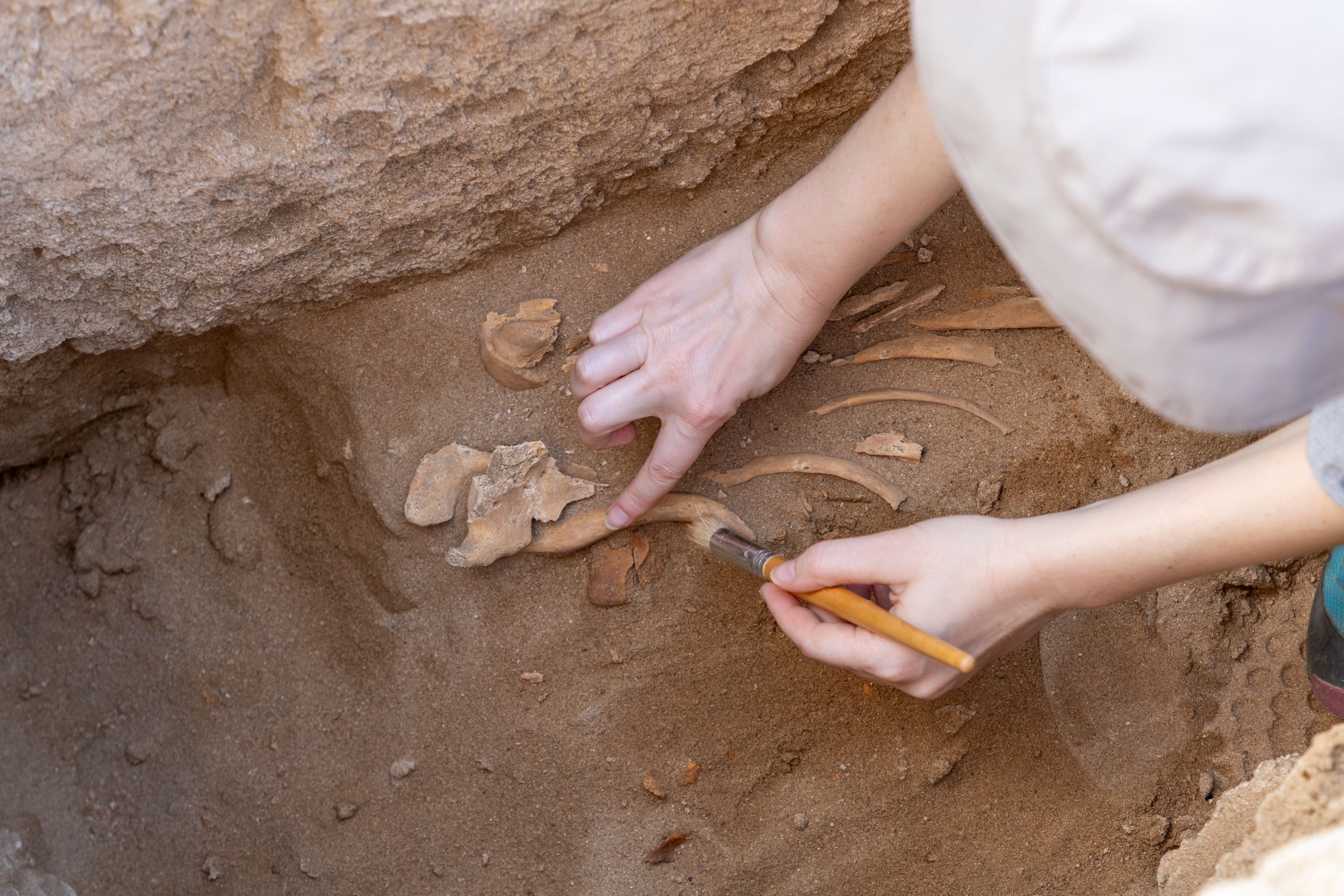 Archaeology involves studying human remains, but consolidants sometimes complicates this analysis. | Image Credit: © - stock.adobe.com