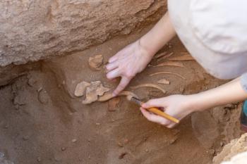 Archaeology involves studying human remains, but consolidants sometimes complicates this analysis. | Image Credit: © - stock.adobe.com