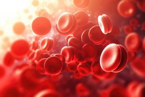 Sex- and Age-Dependent Red Blood Cell Remodeling in Type 2 Diabetes Revealed by FT-IR and Raman Spectroscopy: Part II