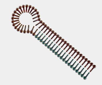 Small interfering RNA or siRNA or short interfering RNA or silencing RNA. shRNAs consist of sense and antisense sequences separated by a loop sequence 3D rendering | Image Credit: © Love Employee - stock.adobe.com
