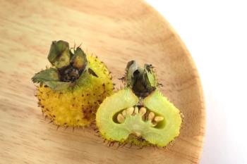 The fruit of Rosa roxburghii Tratt(Chinese:cili),Varieties grown in Guizhou,China | Image Credit: © wei - stock.adobe.com